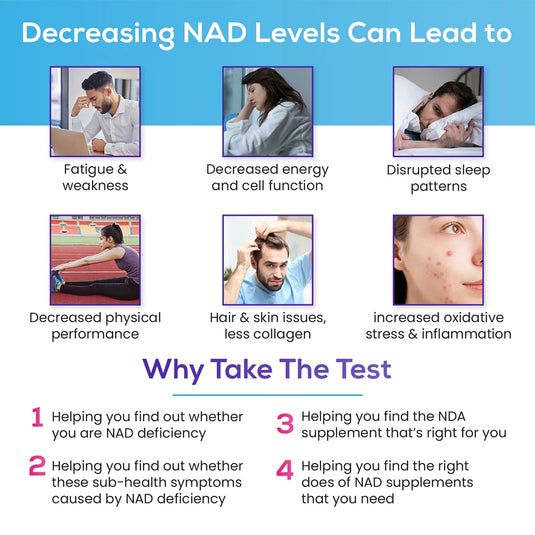 IntraCellular NAD Test